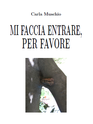 Mi faccia entrare, per favore