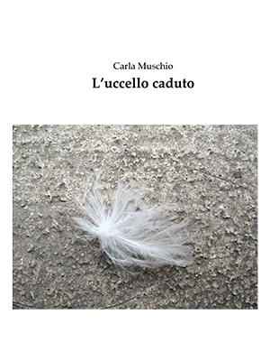 L'uccello caduto
