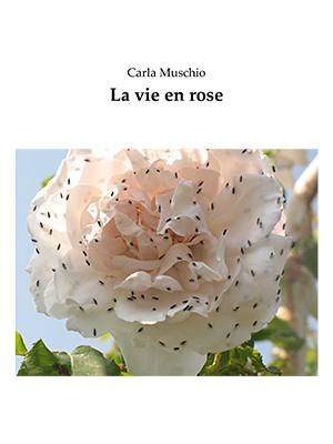 La vie en rose