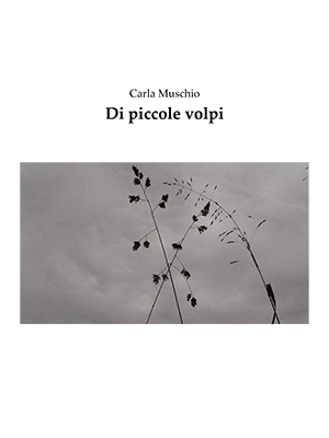 Di piccole volpi